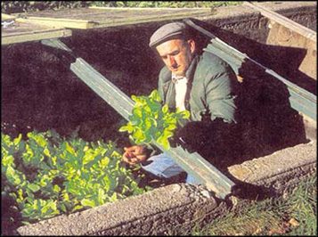 Using the Hotbed Planting-Season Extender in Your Garden Image